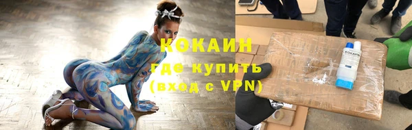 стаф Козельск