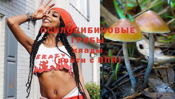 стаф Козельск