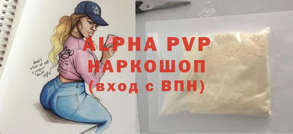 стаф Козельск