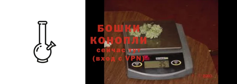 стаф Козельск