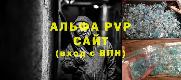 стаф Козельск