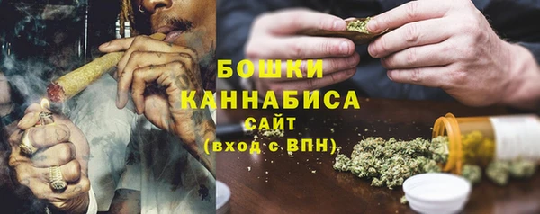 стаф Козельск