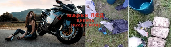 стаф Козельск