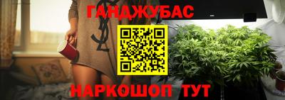 скорость Кингисепп