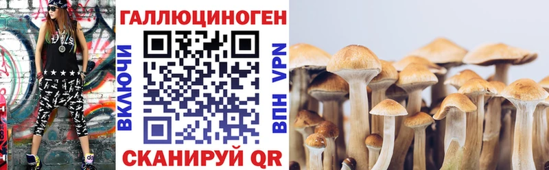 даркнет сайт  Феодосия  Псилоцибиновые грибы Cubensis 