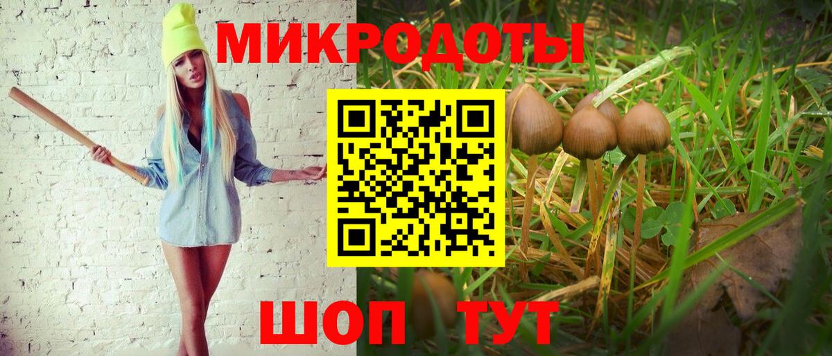 сколько стоит  Псилоцибиновые грибы Psilocybe  Вход с VPN  Псилоцибиновые грибы Psilocybe  Феодосия 